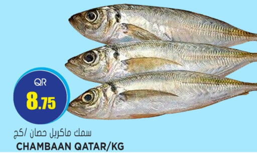 available at Grand Hypermarket in Qatar - Al Rayyan