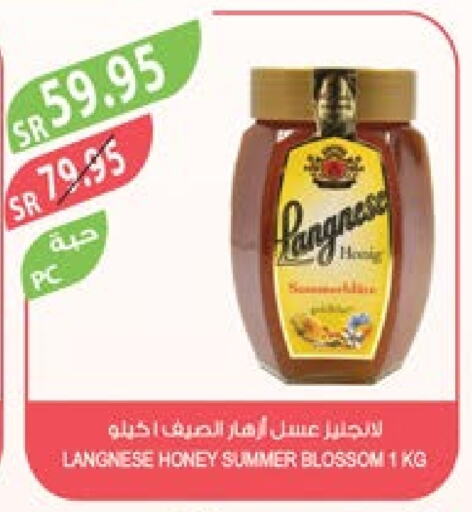  Honey  in Farm  in KSA, Saudi Arabia, Saudi - Al Bahah