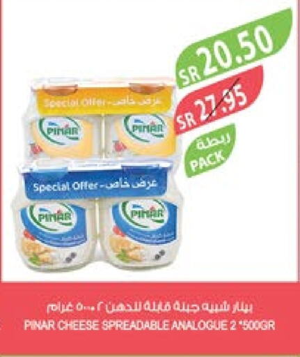 PINAR Analogue cream  in Farm  in KSA, Saudi Arabia, Saudi - Al Bahah