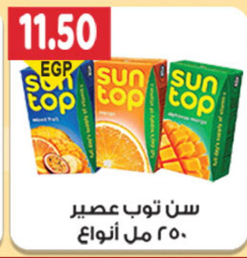 SUNTOP   in El Gizawy Market   in Egypt - Cairo