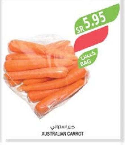  Carrot  in Farm  in KSA, Saudi Arabia, Saudi - Dammam