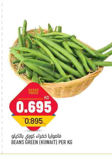  Beans  in Oncost in Kuwait - Jahra Governorate