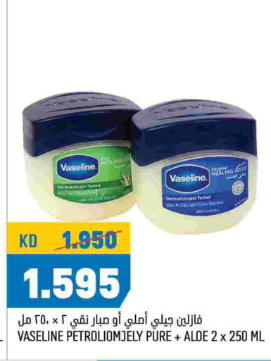 VASELINE Petroleum Jelly  in Oncost in Kuwait - Kuwait City