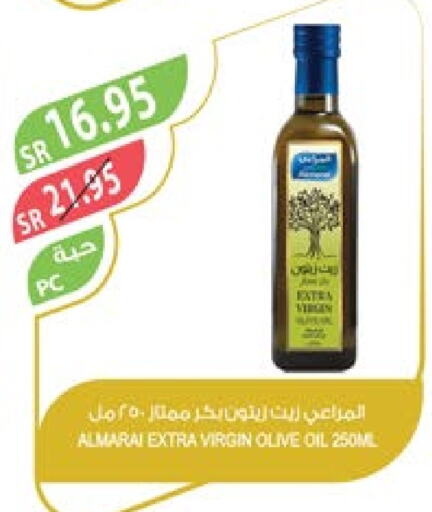 ALMARAI Virgin Olive Oil  in Farm  in KSA, Saudi Arabia, Saudi - Al-Kharj