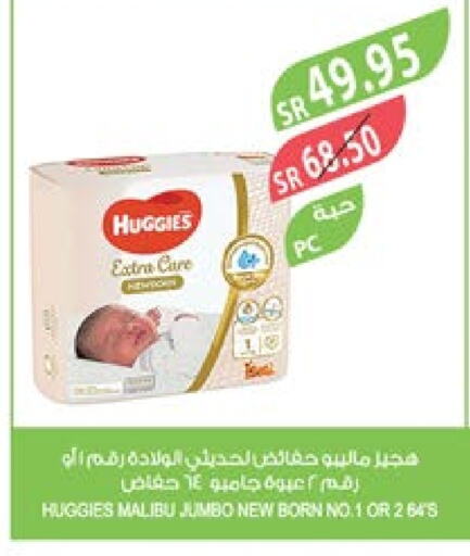 HUGGIES   in Farm  in KSA, Saudi Arabia, Saudi - Arar