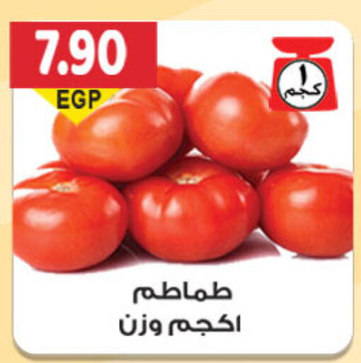  Tomato  in El Gizawy Market   in Egypt - Cairo