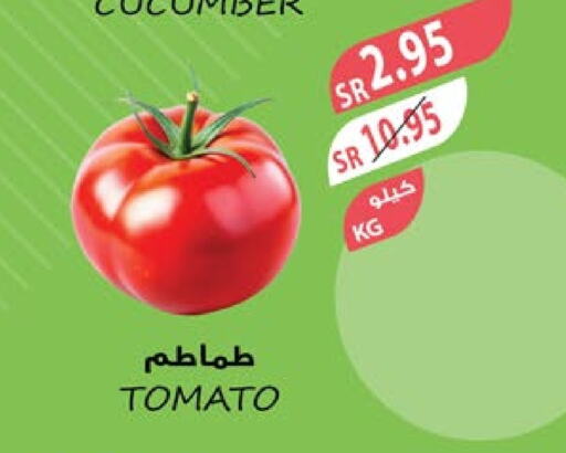  Tomato  in Farm  in KSA, Saudi Arabia, Saudi - Abha