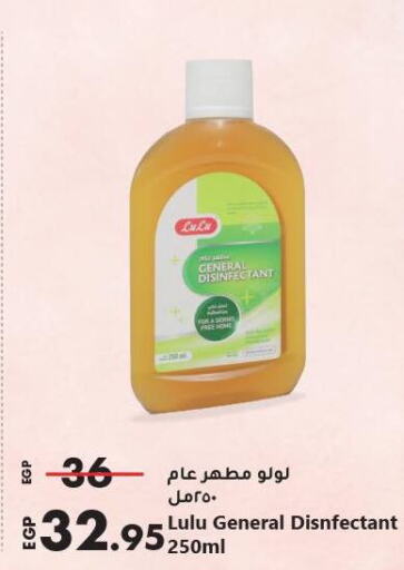  Disinfectant  in Lulu Hypermarket  in Egypt - Cairo