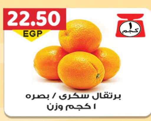  Orange  in El Gizawy Market   in Egypt - Cairo