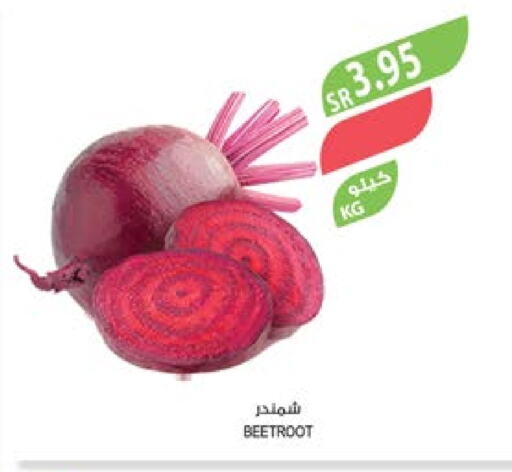  Beetroot  in Farm  in KSA, Saudi Arabia, Saudi - Al Bahah