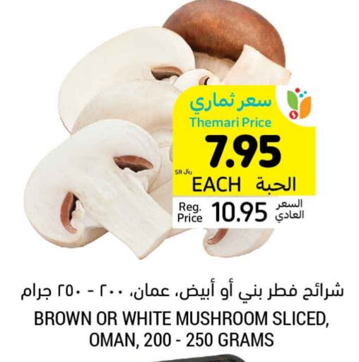  Mushroom  in Tamimi Market in KSA, Saudi Arabia, Saudi - Khafji