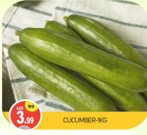  Cucumber  in TALAL MARKET in UAE - Dubai