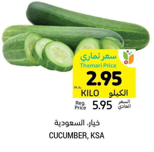  Cucumber  in Tamimi Market in KSA, Saudi Arabia, Saudi - Al Khobar