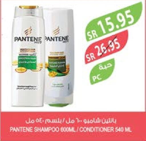 PANTENE Shampoo / Conditioner  in Farm  in KSA, Saudi Arabia, Saudi - Jeddah