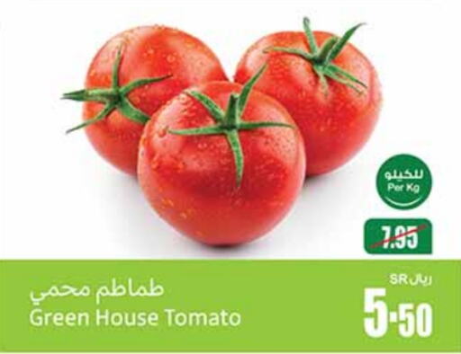  Tomato  in Othaim Markets in KSA, Saudi Arabia, Saudi - Abha