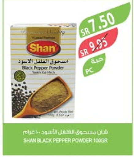 SHAN Spices  in Farm  in KSA, Saudi Arabia, Saudi - Al-Kharj