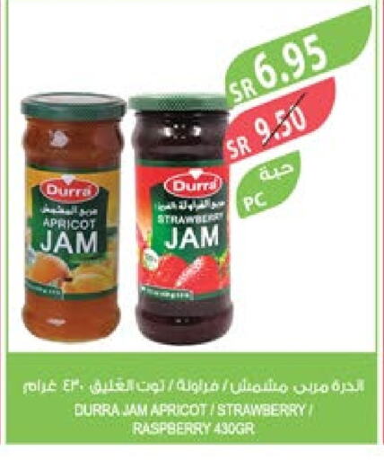 DURRA Jam  in Farm  in KSA, Saudi Arabia, Saudi - Riyadh