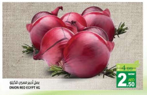  Onion  in Hashim Hypermarket in UAE - Sharjah / Ajman