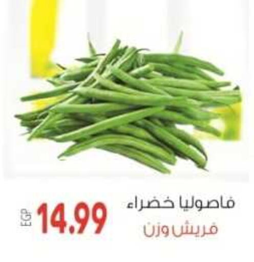  Beans  in El.Husseini supermarket  in Egypt - Cairo