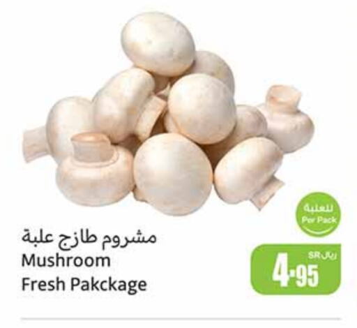  Mushroom  in Othaim Markets in KSA, Saudi Arabia, Saudi - Al Hasa