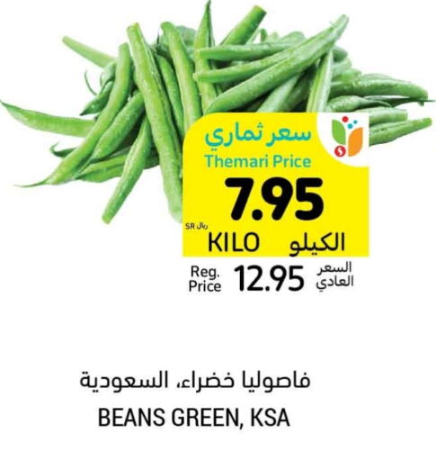  Beans  in Tamimi Market in KSA, Saudi Arabia, Saudi - Jeddah