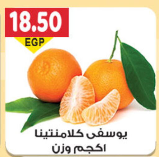  Orange  in El Gizawy Market   in Egypt - Cairo