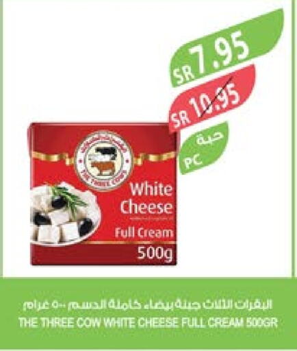  Cream Cheese  in Farm  in KSA, Saudi Arabia, Saudi - Al Bahah