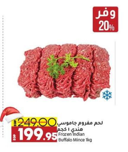  Buffalo  in Lulu Hypermarket  in Egypt - Cairo