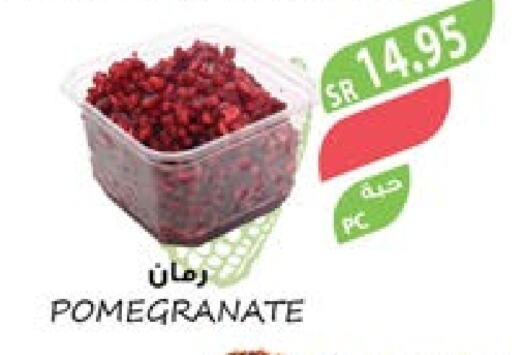  Pomegranate  in Farm  in KSA, Saudi Arabia, Saudi - Riyadh