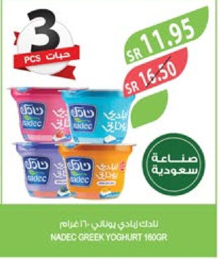 NADEC Greek Yoghurt  in Farm  in KSA, Saudi Arabia, Saudi - Najran