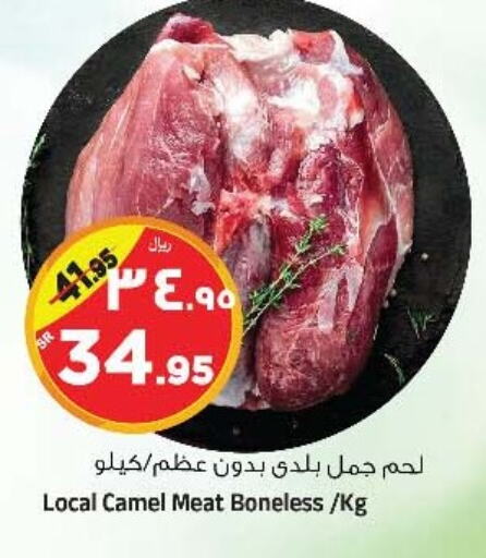  Camel meat  in Al Madina Hypermarket in KSA, Saudi Arabia, Saudi - Riyadh