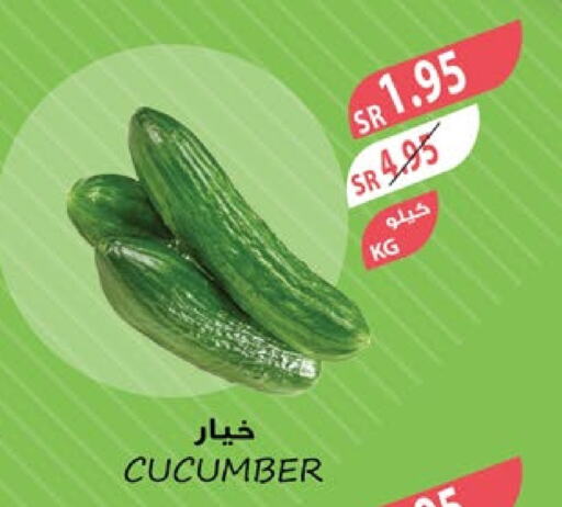  Cucumber  in Farm  in KSA, Saudi Arabia, Saudi - Tabuk