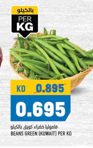  Beans  in Oncost in Kuwait - Jahra Governorate