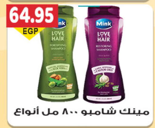  Shampoo / Conditioner  in El Gizawy Market   in Egypt - Cairo