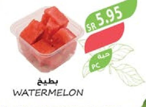  Watermelon  in Farm  in KSA, Saudi Arabia, Saudi - Abha