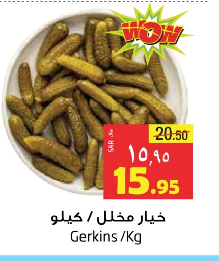  Cucumber  in Layan Hyper in KSA, Saudi Arabia, Saudi - Al Khobar