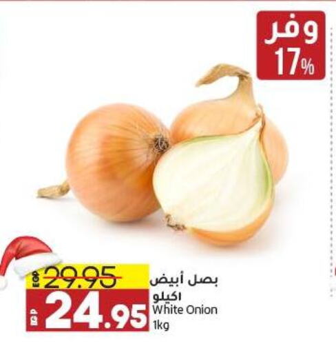  White Onion  in Lulu Hypermarket  in Egypt - Cairo