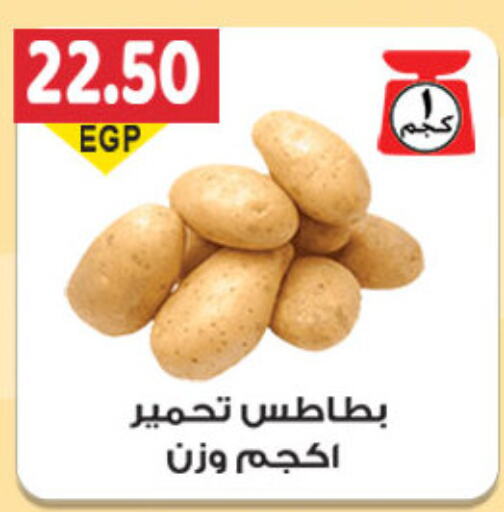  Potato  in El Gizawy Market   in Egypt - Cairo