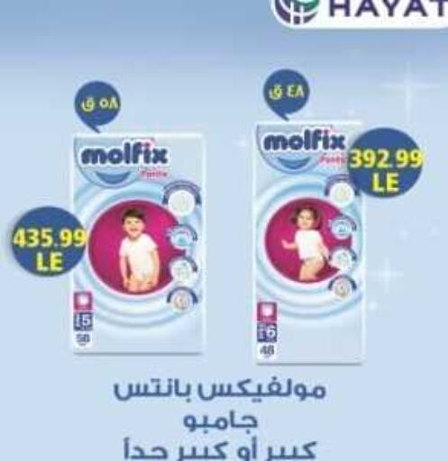 MOLFIX   in El.Husseini supermarket  in Egypt - Cairo