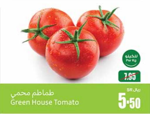  Tomato  in Othaim Markets in KSA, Saudi Arabia, Saudi - Al Hasa