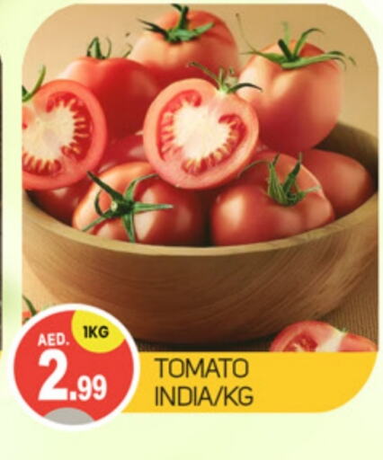  Tomato  in TALAL MARKET in UAE - Dubai