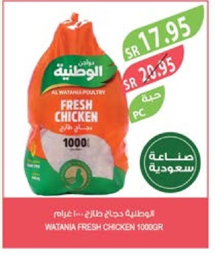 AL WATANIA Fresh Whole Chicken  in Farm  in KSA, Saudi Arabia, Saudi - Jubail