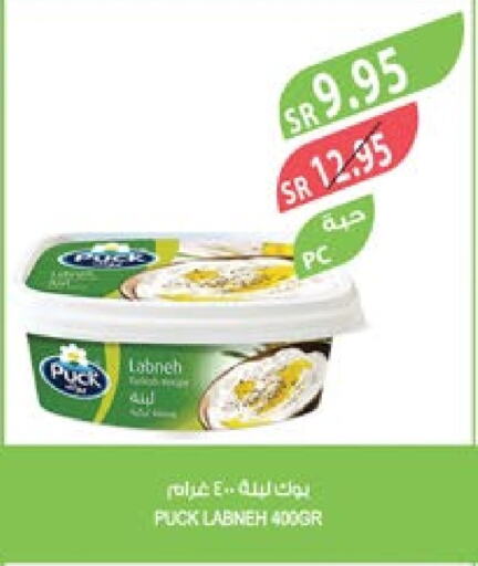 PUCK Labneh  in Farm  in KSA, Saudi Arabia, Saudi - Riyadh