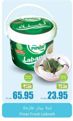 PINAR Labneh  in Othaim Markets in KSA, Saudi Arabia, Saudi - Dammam