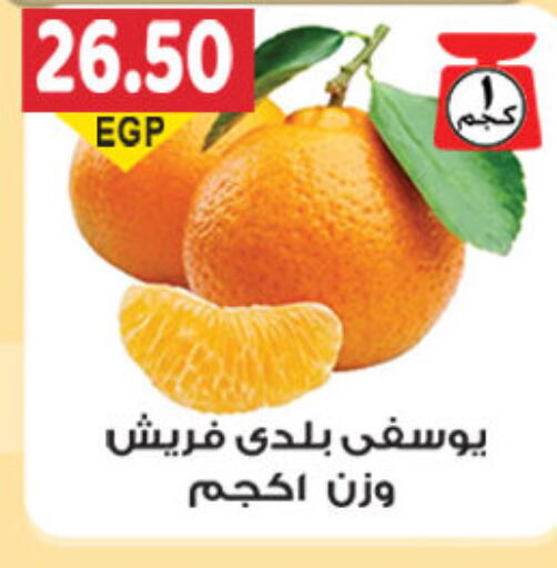  Orange  in El Gizawy Market   in Egypt - Cairo