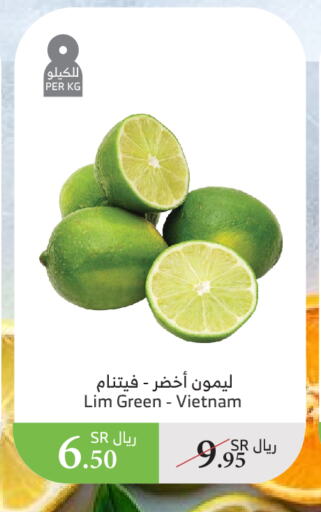 from Vietnam available at Al Raya in KSA, Saudi Arabia, Saudi - Najran