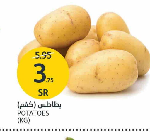 بطاطا available at مركز الجزيرة للتسوق in مملكة العربية السعودية, السعودية, سعودية - الرياض