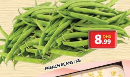 Beans from France available at Grand Hyper Market in UAE - Sharjah / Ajman