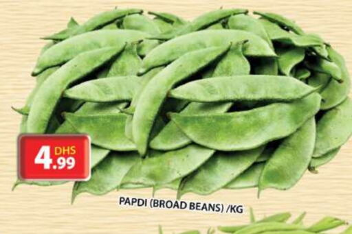 Beans available at Grand Hyper Market in UAE - Sharjah / Ajman