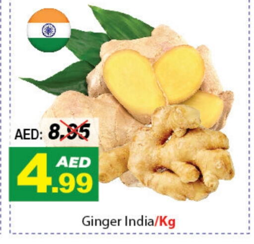 زنجبيل from India available at ديزرت فريش ماركت in الإمارات العربية المتحدة , الامارات - أبو ظبي